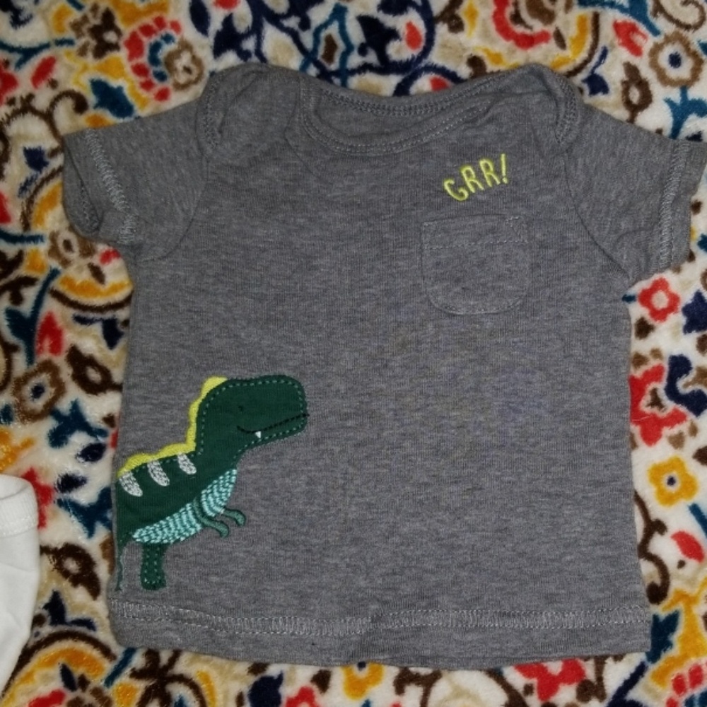 Dinosaur Complete Set - Picture 4 of 6